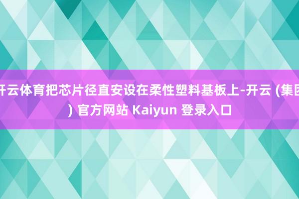 开云体育把芯片径直安设在柔性塑料基板上-开云 (集团) 官方网站 Kaiyun 登录入口