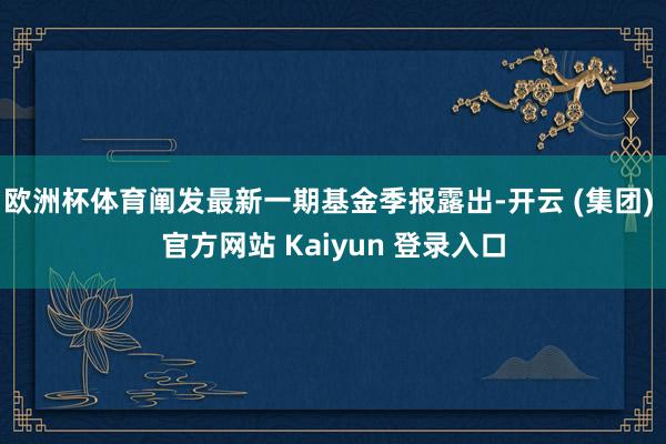 欧洲杯体育阐发最新一期基金季报露出-开云 (集团) 官方网站 Kaiyun 登录入口