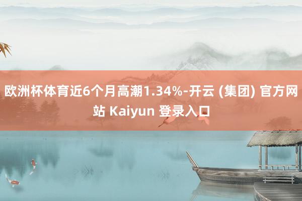 欧洲杯体育近6个月高潮1.34%-开云 (集团) 官方网站 Kaiyun 登录入口
