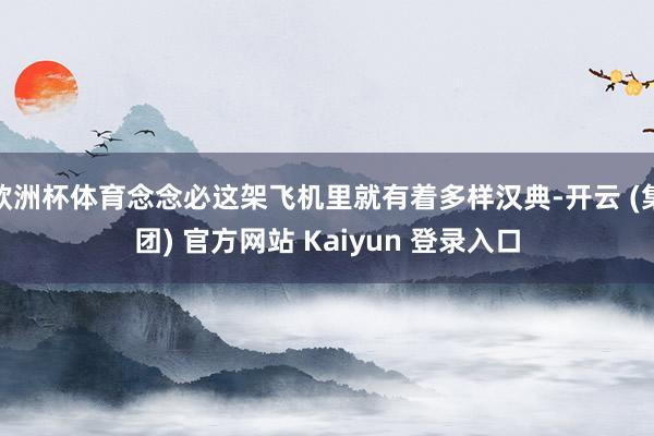 欧洲杯体育念念必这架飞机里就有着多样汉典-开云 (集团) 官方网站 Kaiyun 登录入口