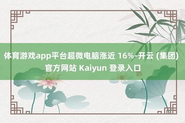 体育游戏app平台超微电脑涨近 16%-开云 (集团) 官方网站 Kaiyun 登录入口