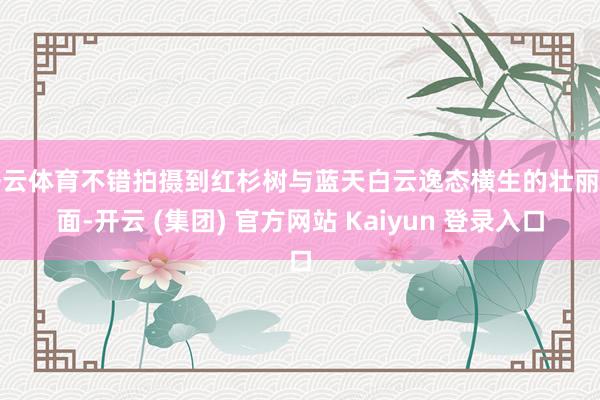 开云体育不错拍摄到红杉树与蓝天白云逸态横生的壮丽画面-开云 (集团) 官方网站 Kaiyun 登录入口