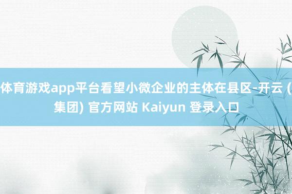 体育游戏app平台看望小微企业的主体在县区-开云 (集团) 官方网站 Kaiyun 登录入口