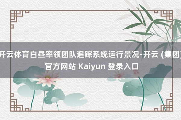 开云体育白昼率领团队追踪系统运行景况-开云 (集团) 官方网站 Kaiyun 登录入口
