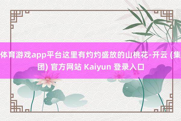 体育游戏app平台这里有灼灼盛放的山桃花-开云 (集团) 官方网站 Kaiyun 登录入口