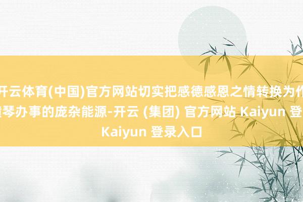 开云体育(中国)官方网站切实把感德感恩之情转换为作念好横琴办事的庞杂能源-开云 (集团) 官方网站 Kaiyun 登录入口