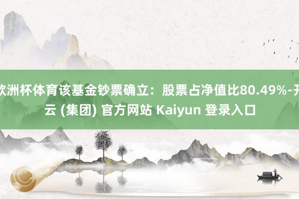 欧洲杯体育该基金钞票确立：股票占净值比80.49%-开云 (集团) 官方网站 Kaiyun 登录入口