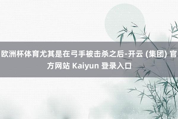 欧洲杯体育尤其是在弓手被击杀之后-开云 (集团) 官方网站 Kaiyun 登录入口