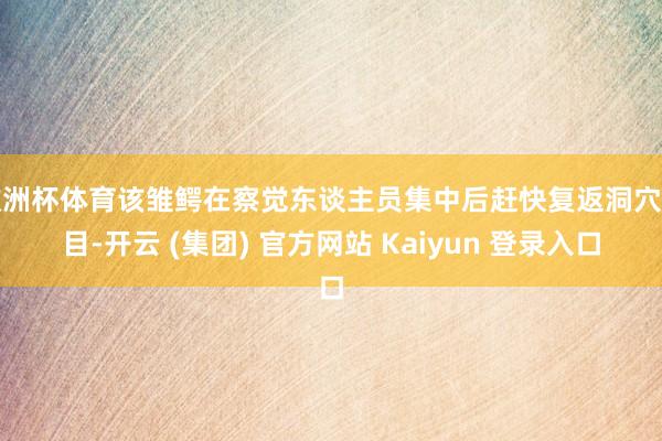 欧洲杯体育该雏鳄在察觉东谈主员集中后赶快复返洞穴侧目-开云 (集团) 官方网站 Kaiyun 登录入口