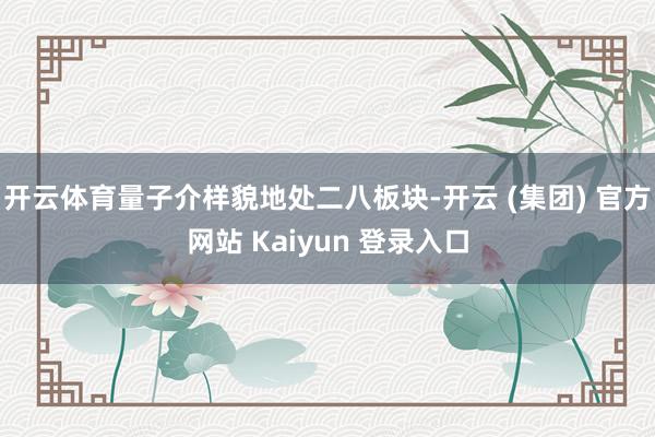 开云体育量子介样貌地处二八板块-开云 (集团) 官方网站 Kaiyun 登录入口