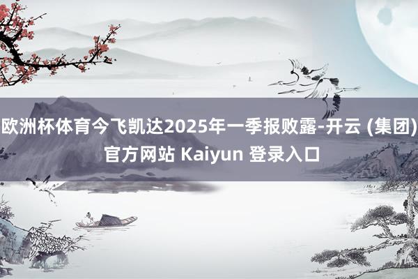 欧洲杯体育今飞凯达2025年一季报败露-开云 (集团) 官方网站 Kaiyun 登录入口