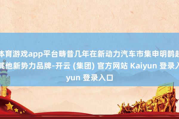 体育游戏app平台畴昔几年在新动力汽车市集申明鹊起的其他新势力品牌-开云 (集团) 官方网站 Kaiyun 登录入口