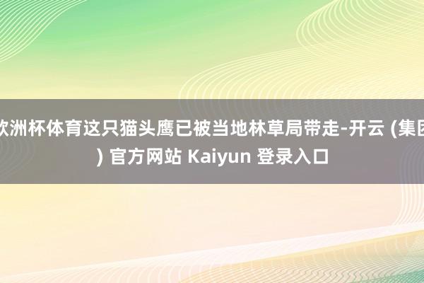 欧洲杯体育这只猫头鹰已被当地林草局带走-开云 (集团) 官方网站 Kaiyun 登录入口