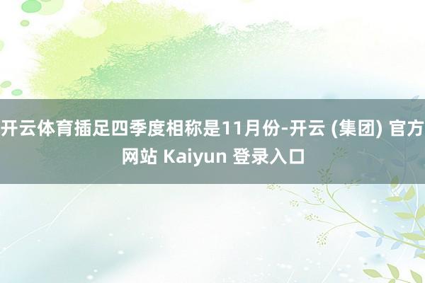 开云体育插足四季度相称是11月份-开云 (集团) 官方网站 Kaiyun 登录入口