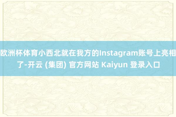 欧洲杯体育小西北就在我方的Instagram账号上亮相了-开云 (集团) 官方网站 Kaiyun 登录入口
