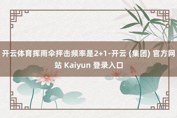 开云体育挥雨伞抨击频率是2+1-开云 (集团) 官方网站 Kaiyun 登录入口