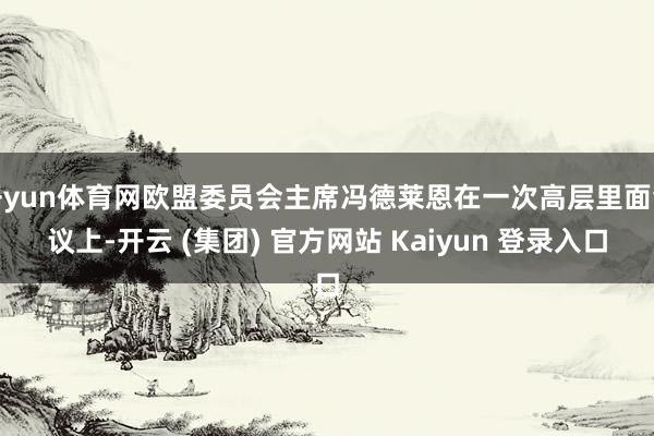 开yun体育网欧盟委员会主席冯德莱恩在一次高层里面会议上-开云 (集团) 官方网站 Kaiyun 登录入口