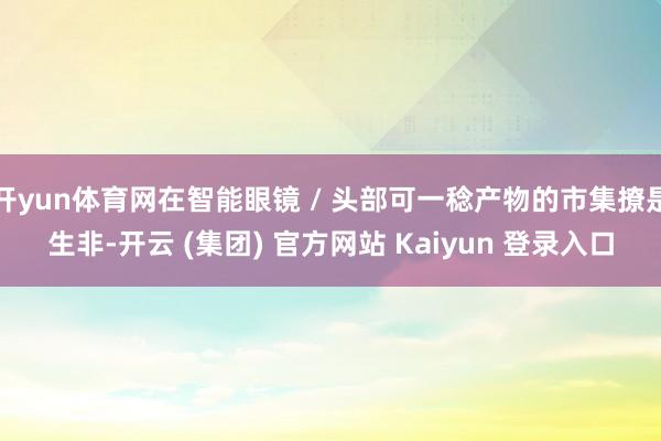 开yun体育网在智能眼镜 / 头部可一稔产物的市集撩是生非-开云 (集团) 官方网站 Kaiyun 登录入口