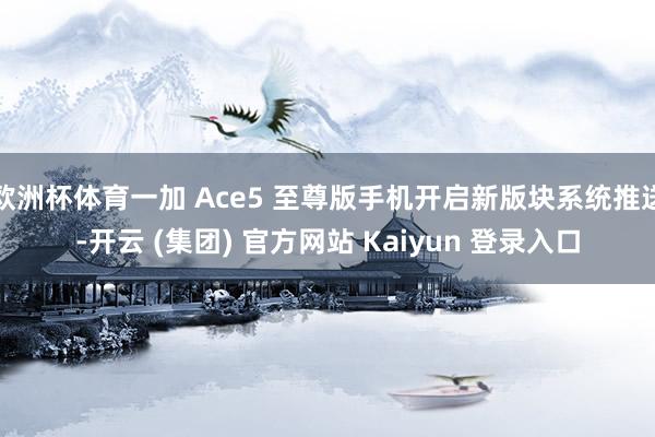 欧洲杯体育一加 Ace5 至尊版手机开启新版块系统推送-开云 (集团) 官方网站 Kaiyun 登录入口