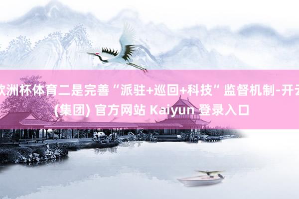 欧洲杯体育二是完善“派驻+巡回+科技”监督机制-开云 (集团) 官方网站 Kaiyun 登录入口