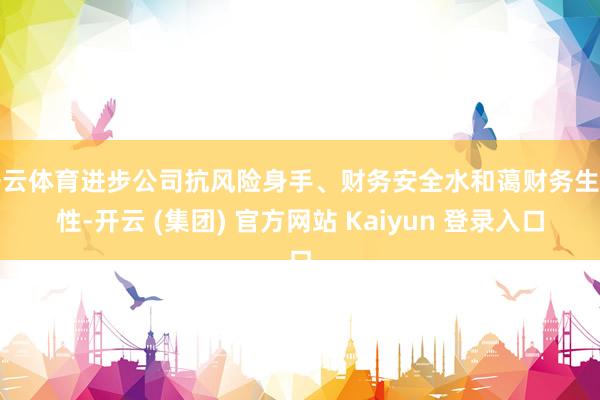 开云体育进步公司抗风险身手、财务安全水和蔼财务生动性-开云 (集团) 官方网站 Kaiyun 登录入口