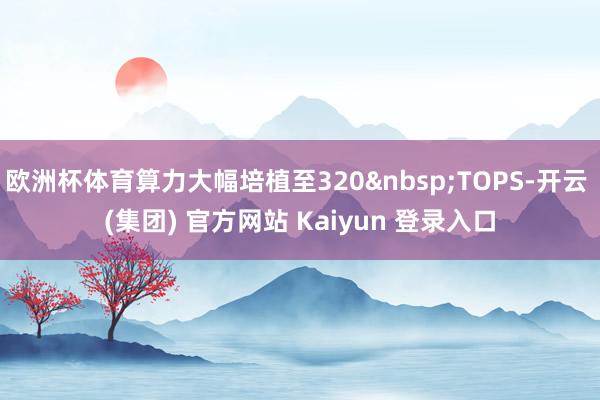 欧洲杯体育算力大幅培植至320&nbsp;TOPS-开云 (集团) 官方网站 Kaiyun 登录入口