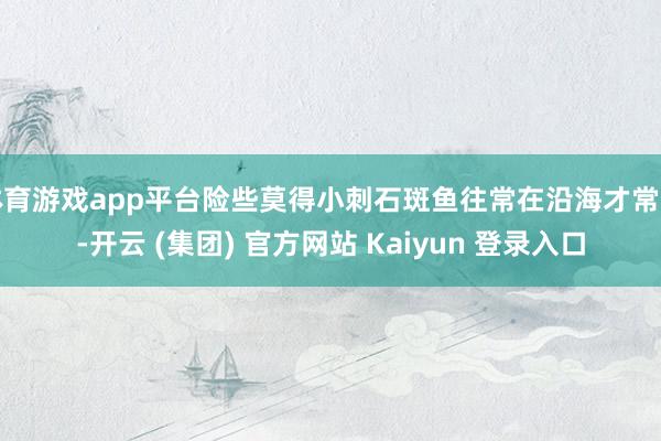 体育游戏app平台险些莫得小刺石斑鱼往常在沿海才常见-开云 (集团) 官方网站 Kaiyun 登录入口