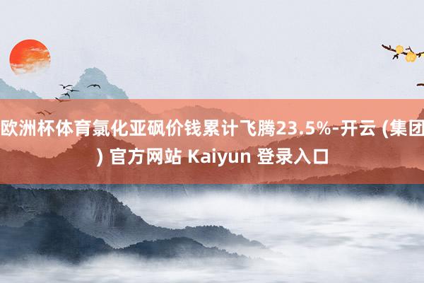 欧洲杯体育氯化亚砜价钱累计飞腾23.5%-开云 (集团) 官方网站 Kaiyun 登录入口