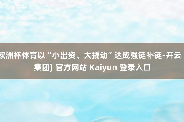 欧洲杯体育以“小出资、大撬动”达成强链补链-开云 (集团) 官方网站 Kaiyun 登录入口